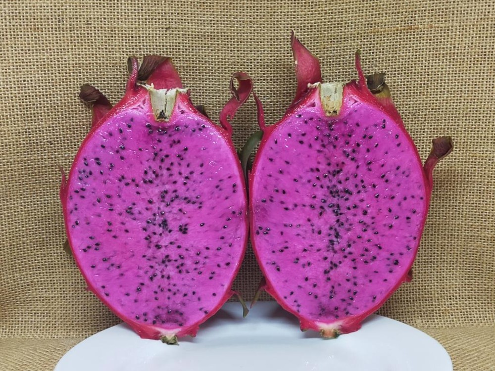 Purple Haze dragon fruit picture